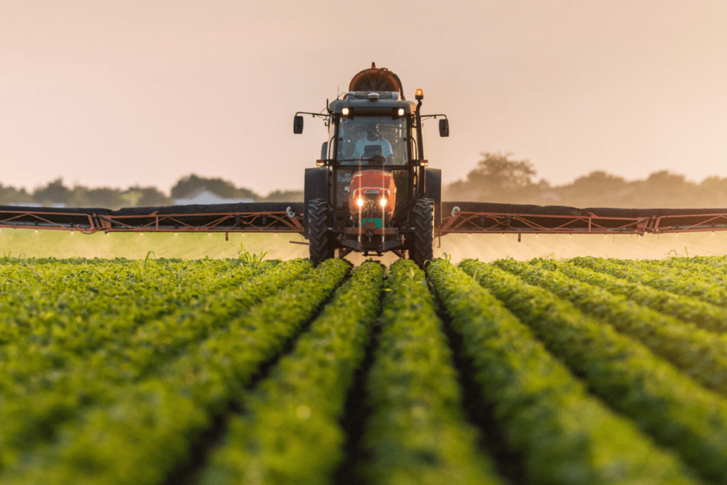 O que se faz um engenheiro agrônomo?
