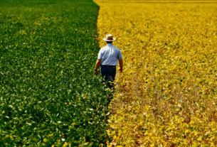 O que se faz um engenheiro agrônomo?