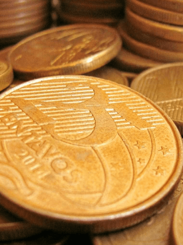 Como funciona o Tesouro Direto?