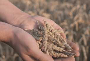 FIAGRO
